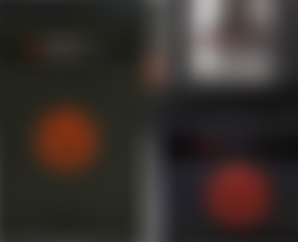 3D Printer | Raise3D