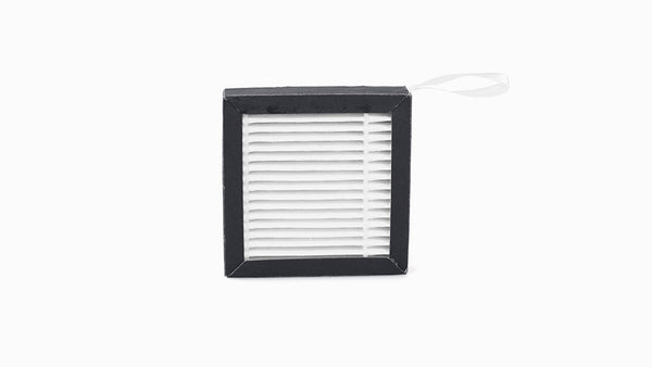 Air Filter (E2 and E2CF Only)